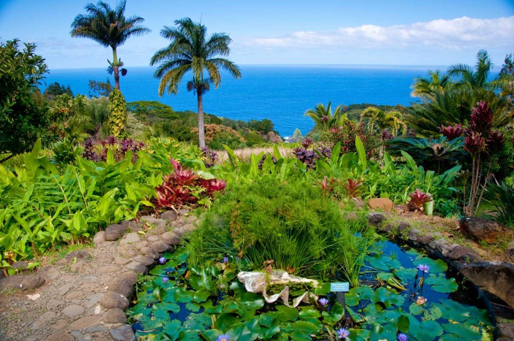 hawaii botanical garden
